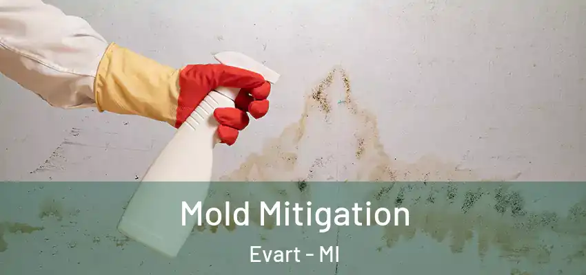  Mold Mitigation Evart - MI