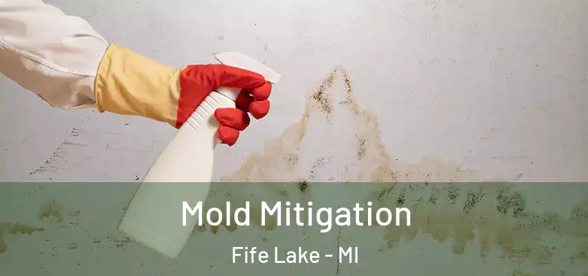  Mold Mitigation Fife Lake - MI