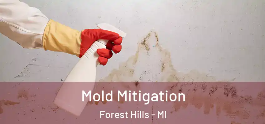  Mold Mitigation Forest Hills - MI