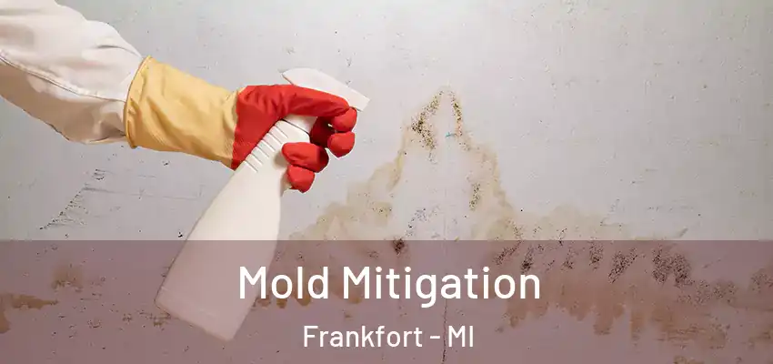  Mold Mitigation Frankfort - MI