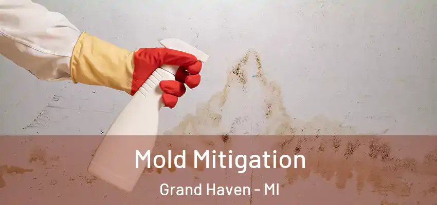Mold Mitigation Grand Haven - MI