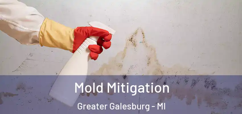  Mold Mitigation Greater Galesburg - MI