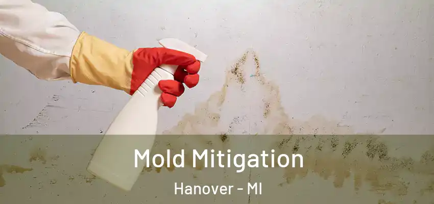  Mold Mitigation Hanover - MI