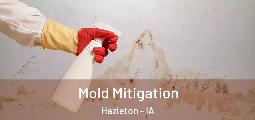  Mold Mitigation Hazleton - IA