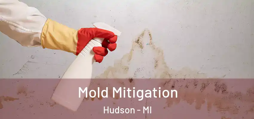 Mold Mitigation Hudson - MI