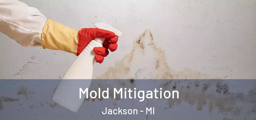  Mold Mitigation Jackson - MI