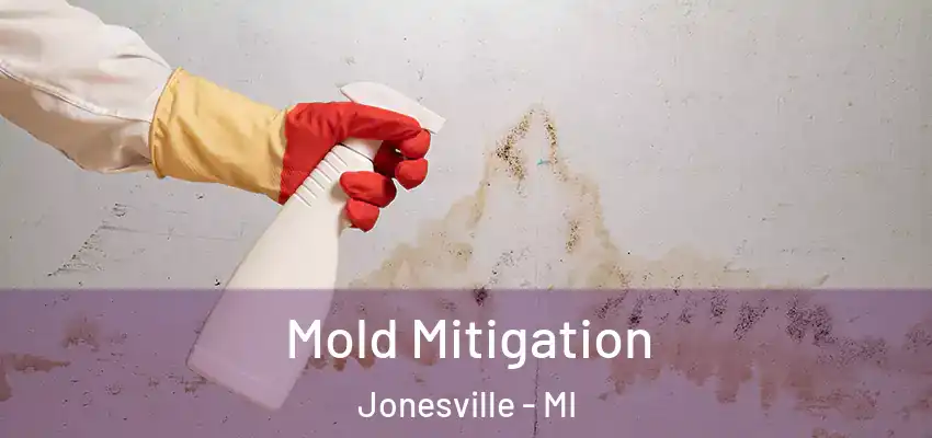Mold Mitigation Jonesville - MI