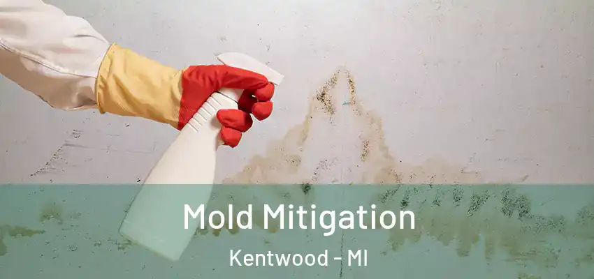 Mold Mitigation Kentwood - MI
