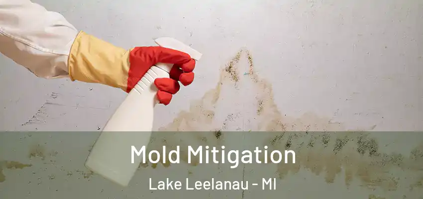 Mold Mitigation Lake Leelanau - MI