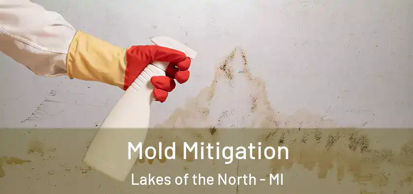  Mold Mitigation Lakes of the North - MI
