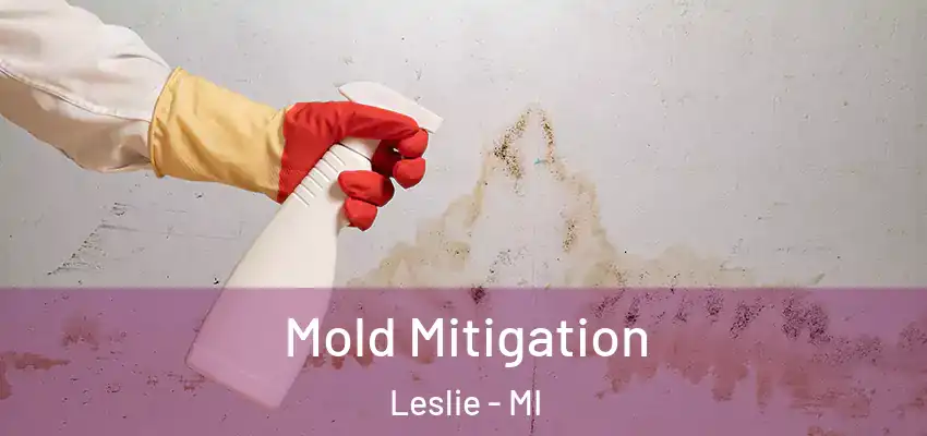  Mold Mitigation Leslie - MI