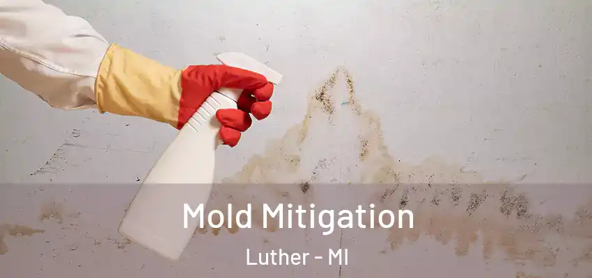  Mold Mitigation Luther - MI