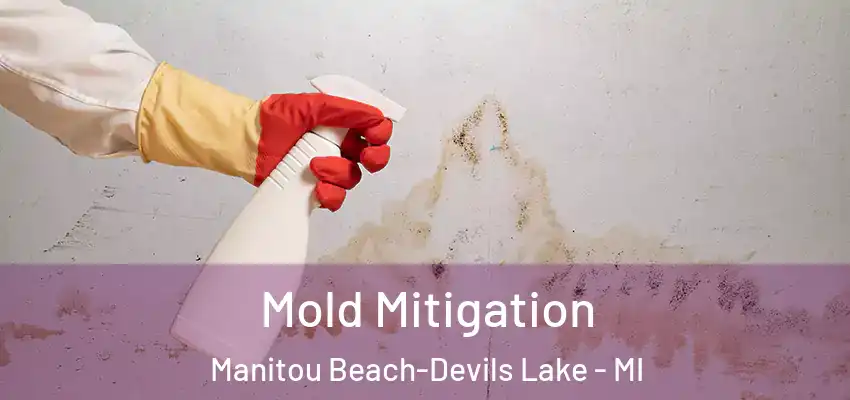 Mold Mitigation Manitou Beach-Devils Lake - MI