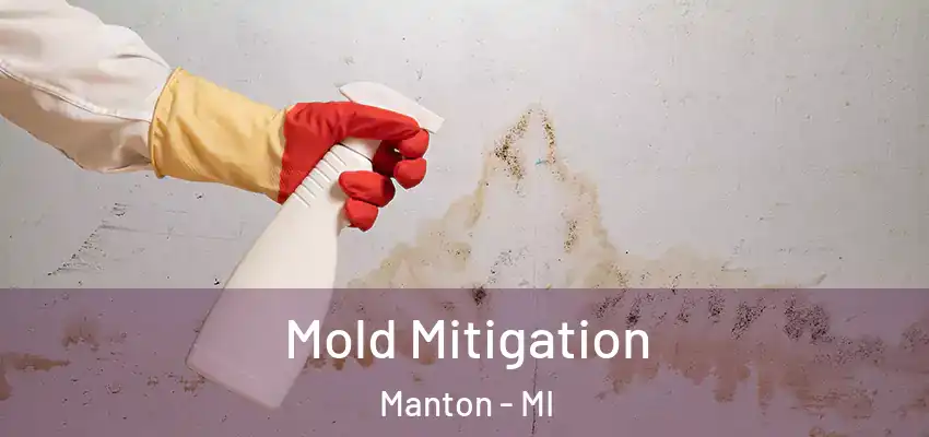  Mold Mitigation Manton - MI