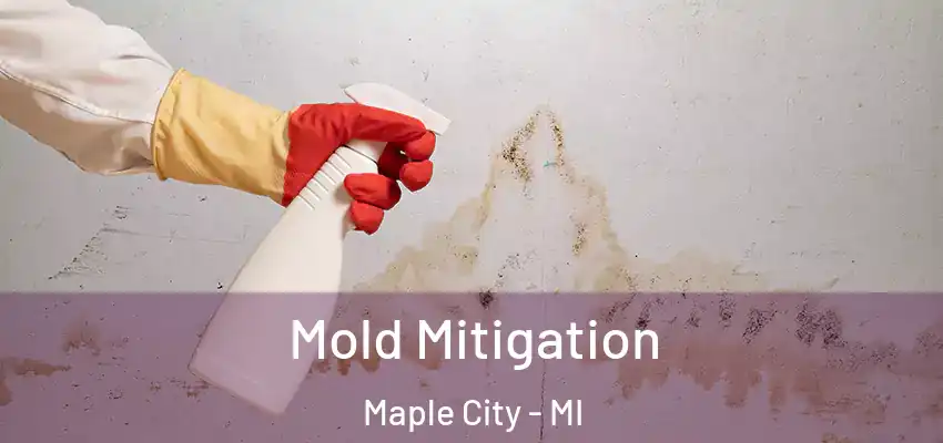  Mold Mitigation Maple City - MI
