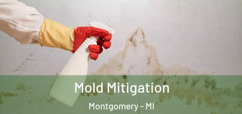  Mold Mitigation Montgomery - MI