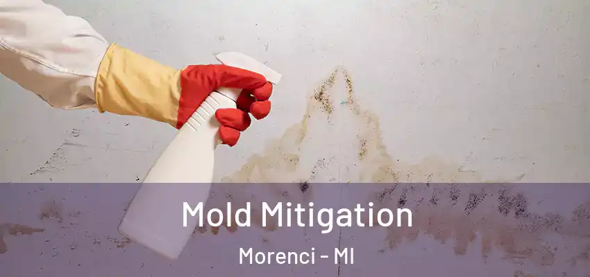  Mold Mitigation Morenci - MI