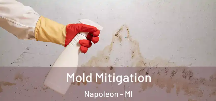  Mold Mitigation Napoleon - MI