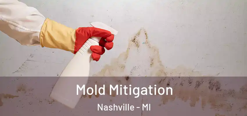  Mold Mitigation Nashville - MI