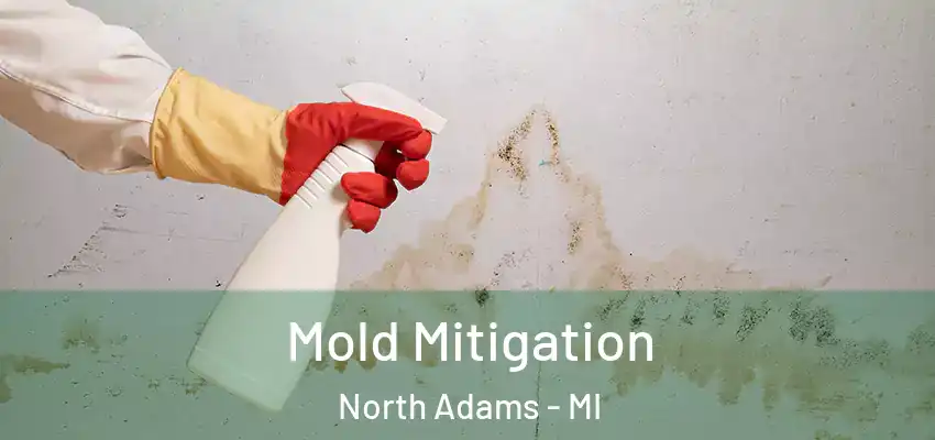 Mold Mitigation North Adams - MI