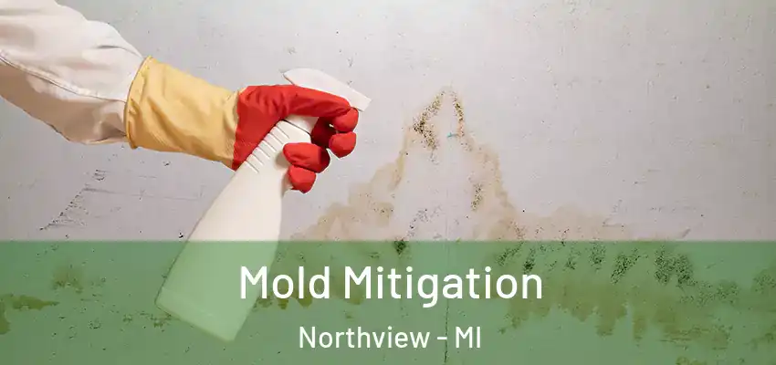  Mold Mitigation Northview - MI