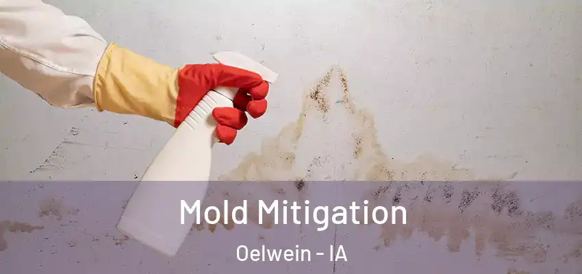  Mold Mitigation Oelwein - IA