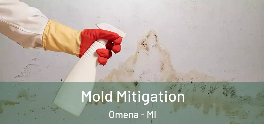  Mold Mitigation Omena - MI