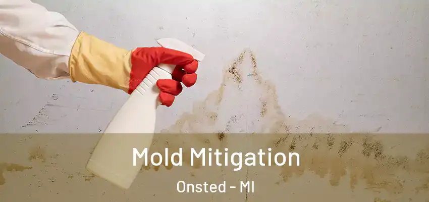 Mold Mitigation Onsted - MI