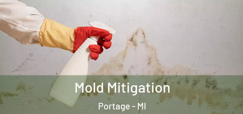  Mold Mitigation Portage - MI