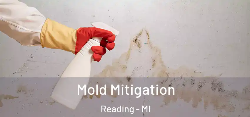  Mold Mitigation Reading - MI