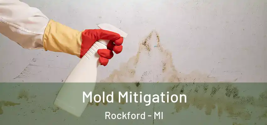 Mold Mitigation Rockford - MI