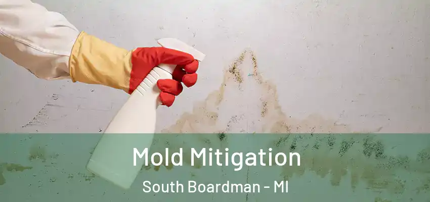  Mold Mitigation South Boardman - MI