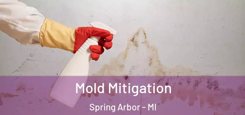  Mold Mitigation Spring Arbor - MI