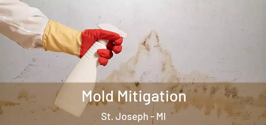 Mold Mitigation St. Joseph - MI