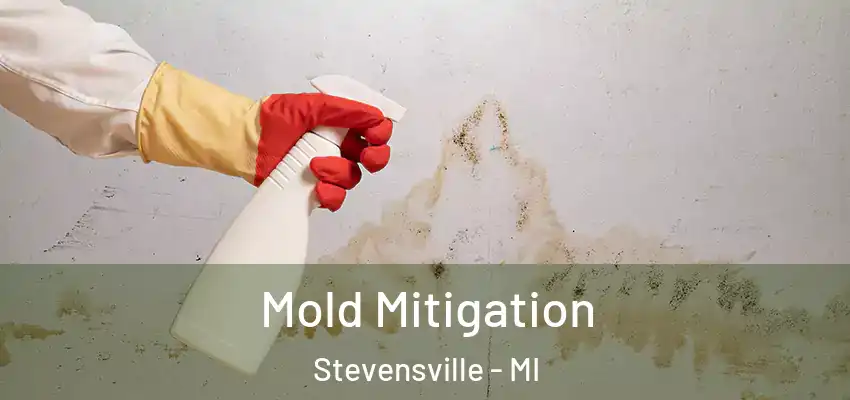  Mold Mitigation Stevensville - MI