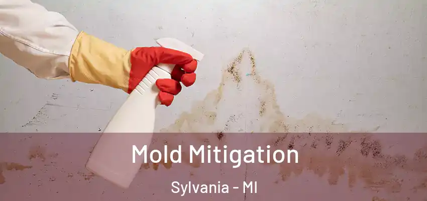  Mold Mitigation Sylvania - MI