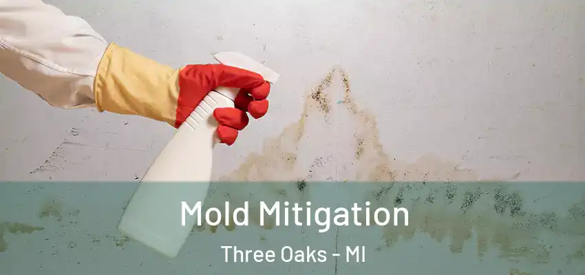  Mold Mitigation Three Oaks - MI