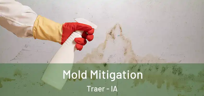  Mold Mitigation Traer - IA