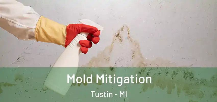  Mold Mitigation Tustin - MI