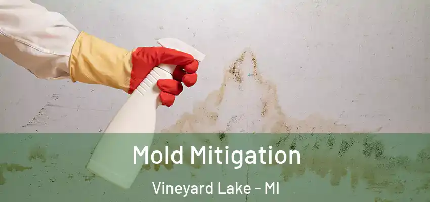 Mold Mitigation Vineyard Lake - MI