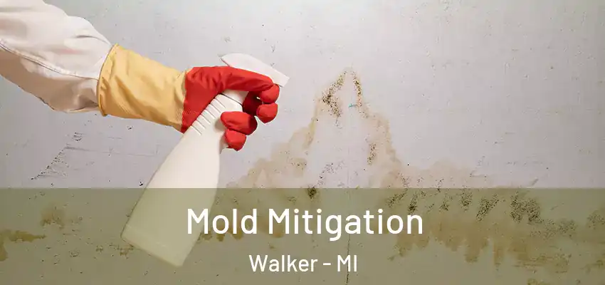Mold Mitigation Walker - MI