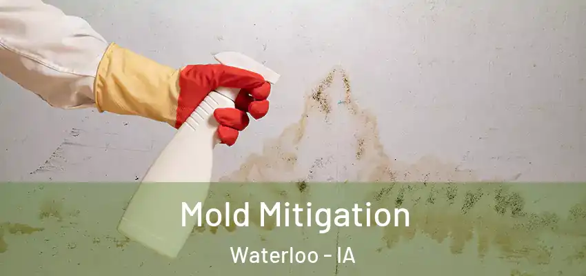  Mold Mitigation Waterloo - IA