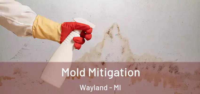  Mold Mitigation Wayland - MI