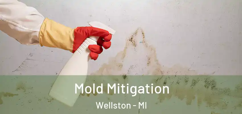  Mold Mitigation Wellston - MI