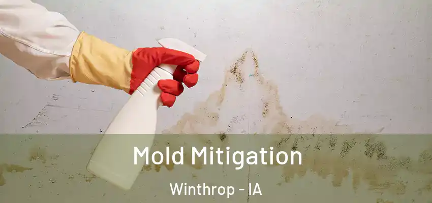  Mold Mitigation Winthrop - IA