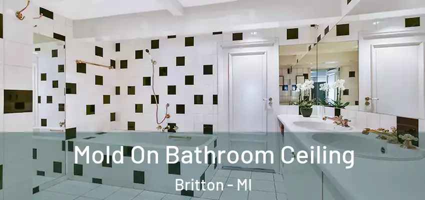  Mold On Bathroom Ceiling Britton - MI
