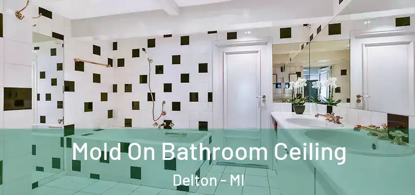  Mold On Bathroom Ceiling Delton - MI