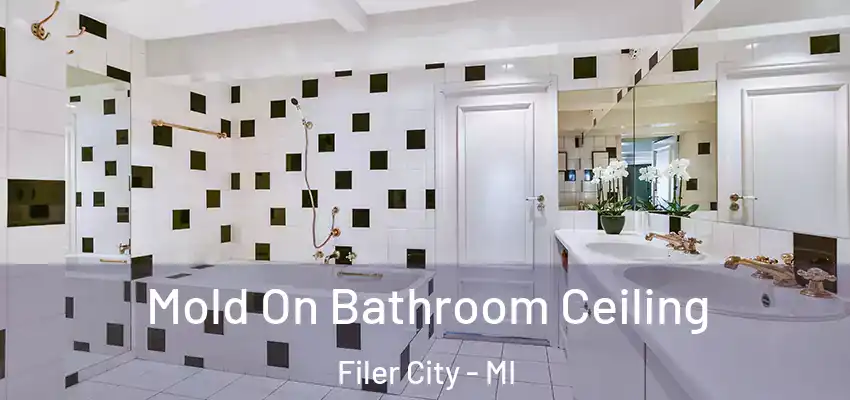 Mold On Bathroom Ceiling Filer City - MI