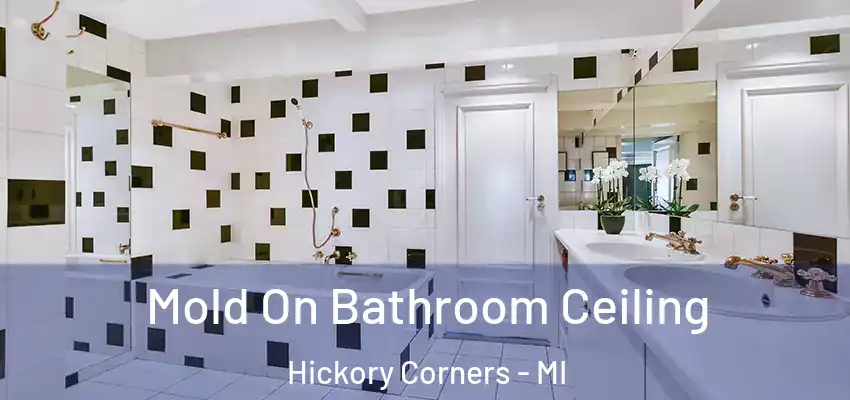  Mold On Bathroom Ceiling Hickory Corners - MI