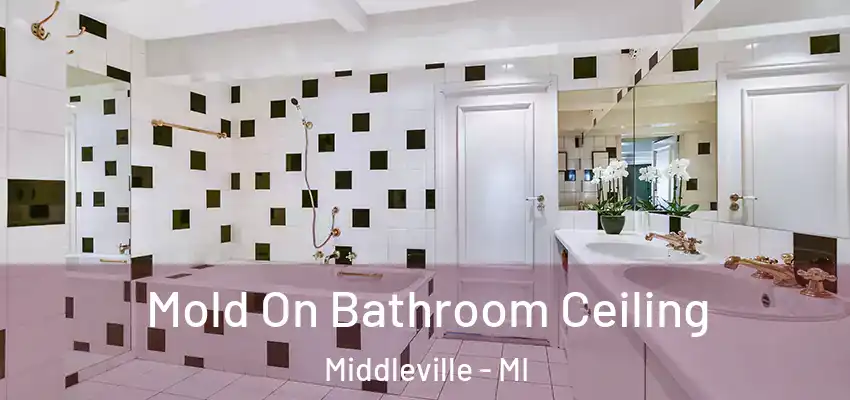  Mold On Bathroom Ceiling Middleville - MI